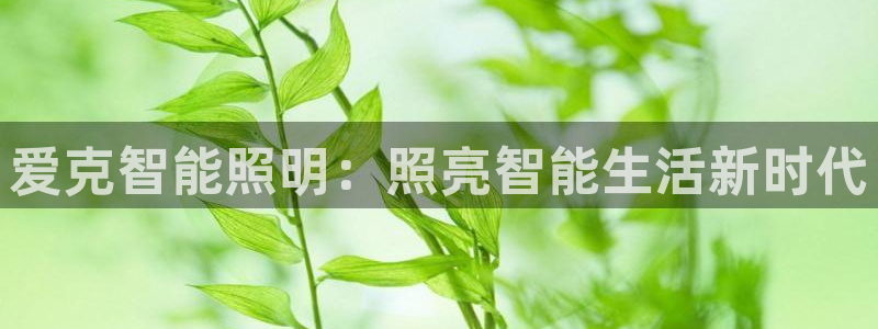 云顶国际是合法的吗