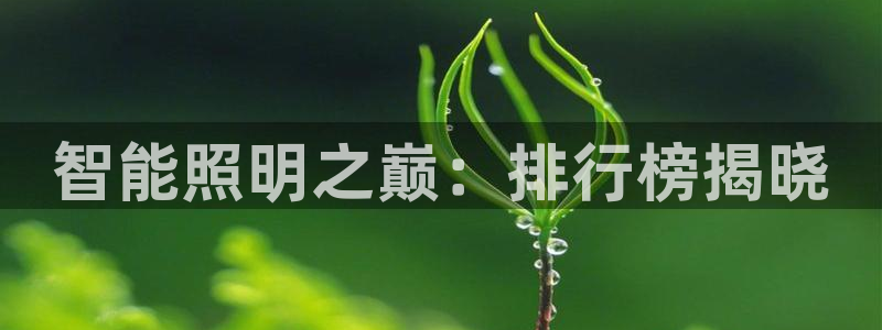 云顶国际集团游戏官网