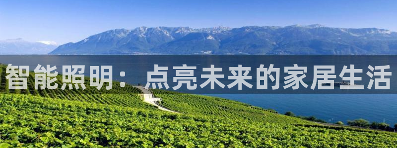 云顶最新线路检测