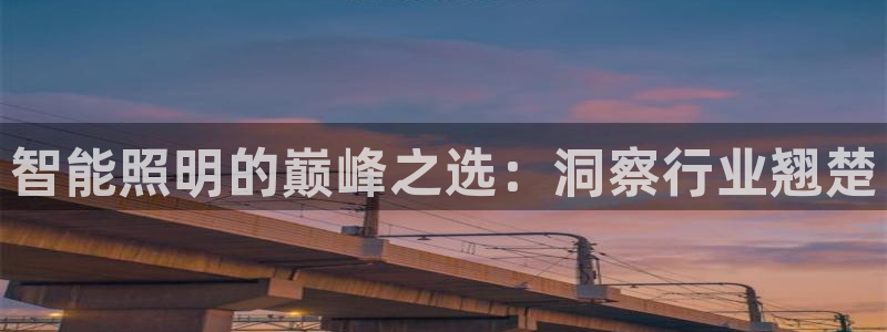 云顶集团简介