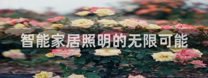 云顶国际平台是真的吗