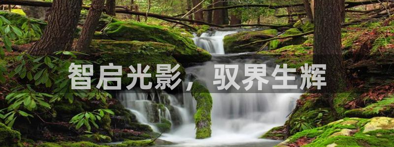 云顶国际区块链怎么样