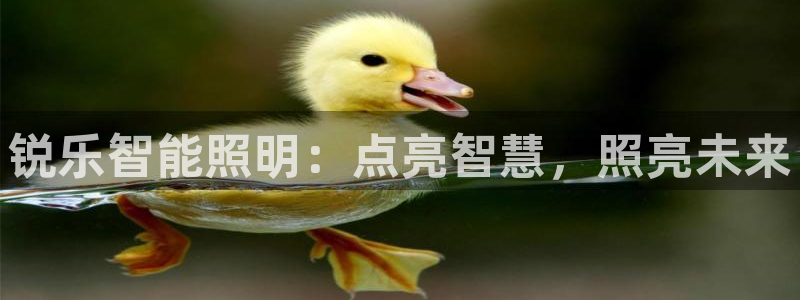 云顶手游国际服什么时候更新