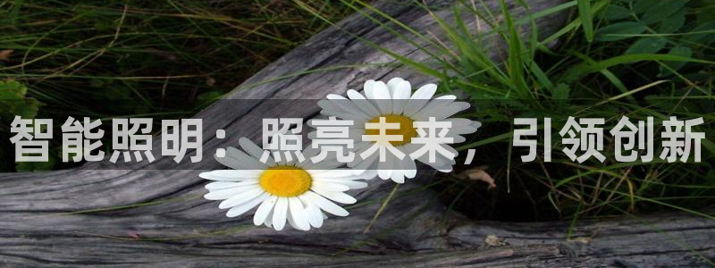 云顶国际服维护时间