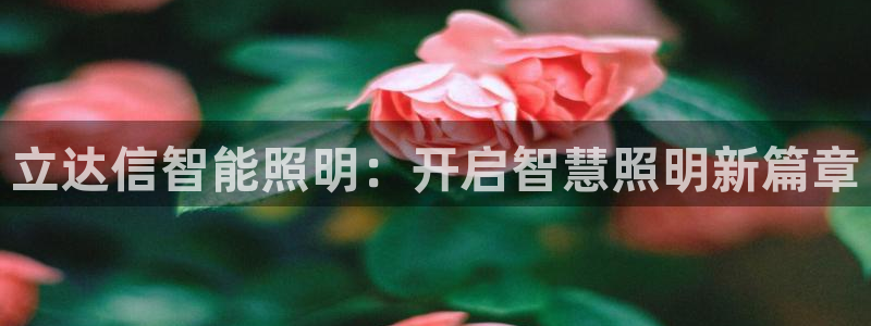云顶国际足球app下载安装