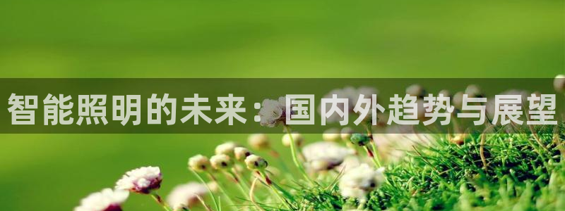 云顶国际是做什么的公司
