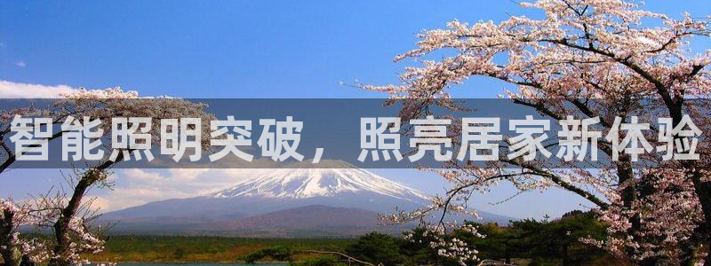 云顶国际游戏官方网站