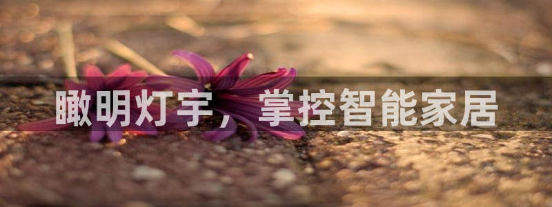 云顶28官网下载