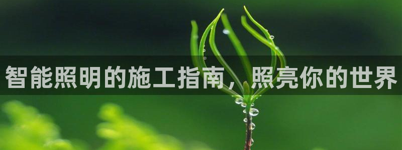 云顶国际二手房