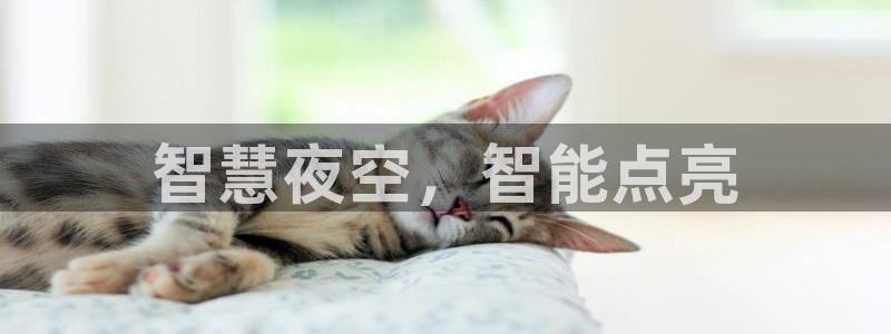 云顶国际服更新了吗