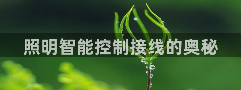 云顶集团有限公司简介电话