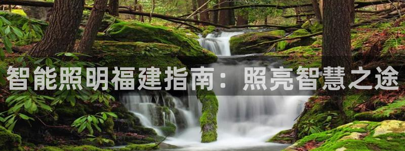 云顶国际会所