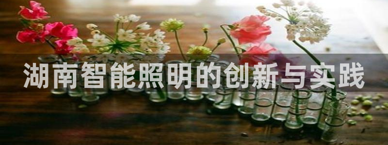 云顶集团GM