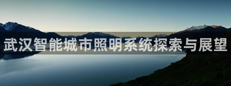 云顶集团林志华简介