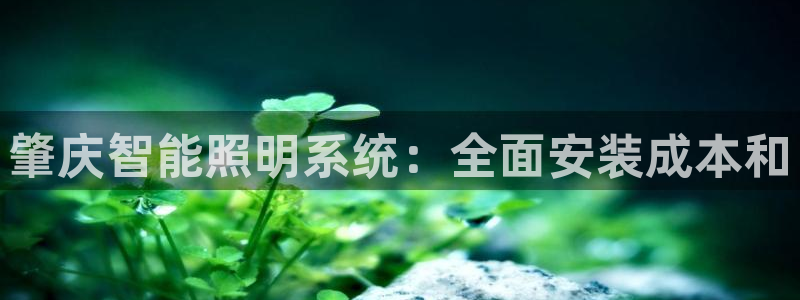 云顶国际服更新时间