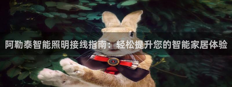 云顶国际服注册流程