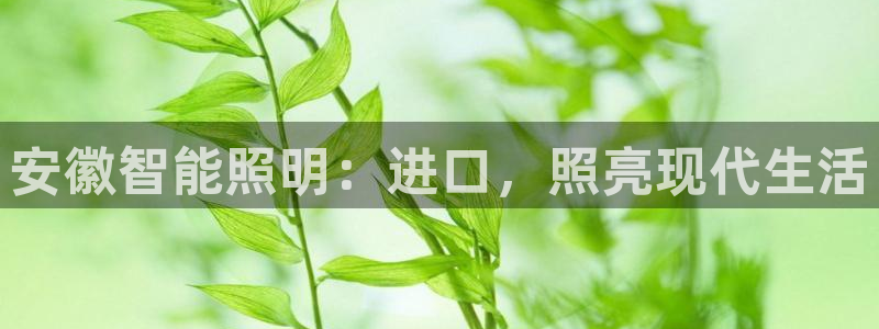 云顶国际25万没法提现