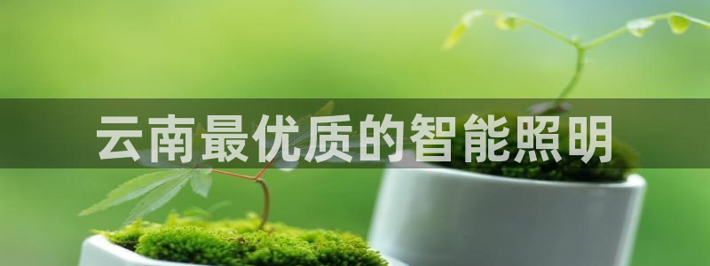 云顶国际商业广场商户