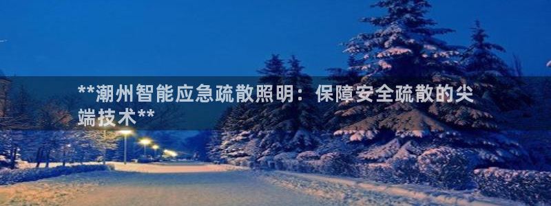 云顶集团有限公司简介地址