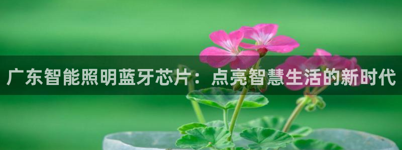 云顶国际大酒店位于哪个街道