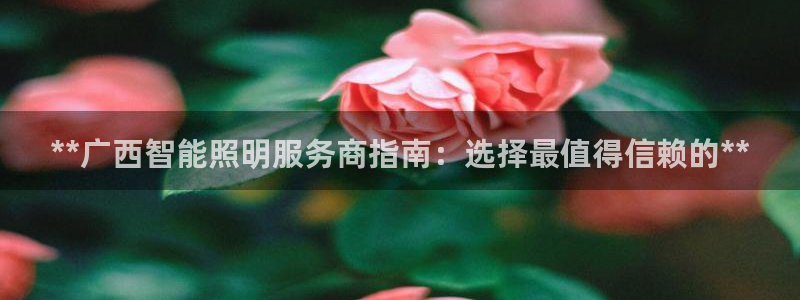 云顶集团3118