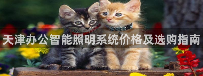 云顶集团总部在哪里
