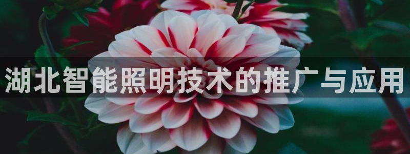 云顶国际商业广场 荣耀