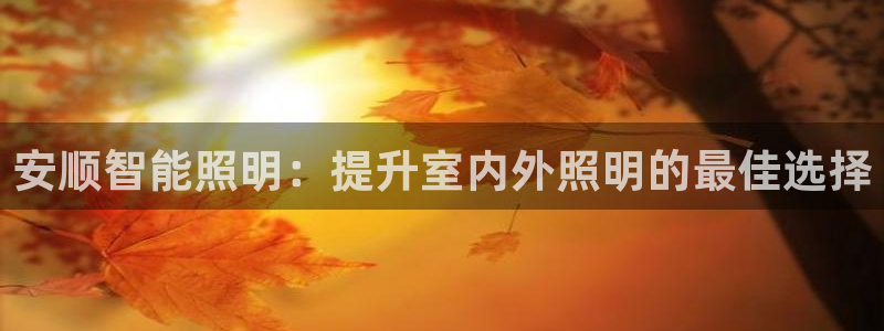 云顶国际老板是谁呀