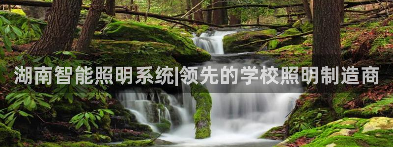 云顶国际老板是谁呀