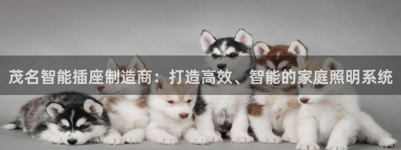 最新版云顶攻略