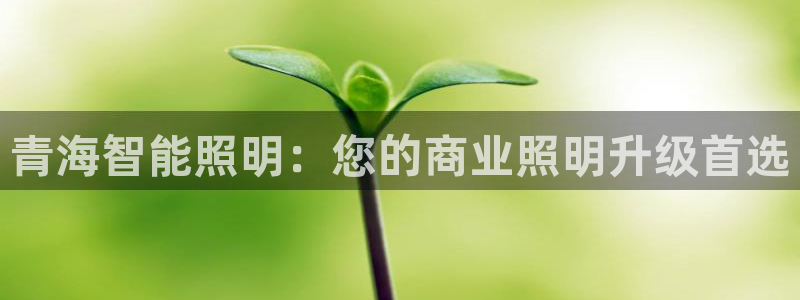 云顶国际中国官方网站下载