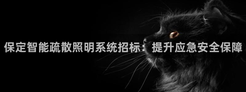云顶国际怎么样