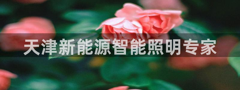 云顶集团游戏app8293