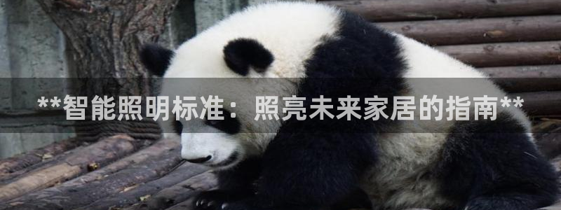 云顶集团老总是谁