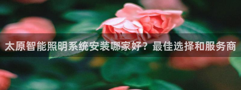 云顶s6国际服