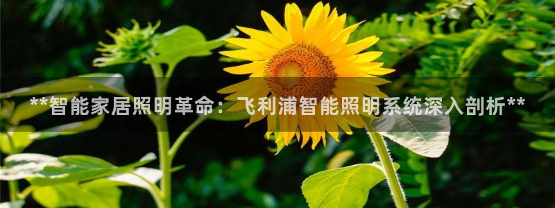 云顶国际装饰设计