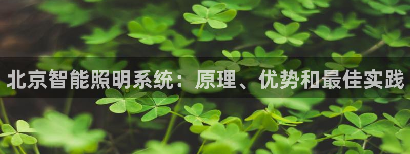 云顶国际二手房出售