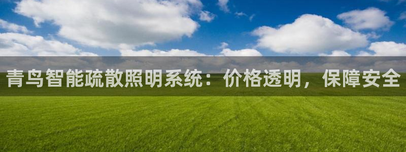 云顶集团网站app下载安装