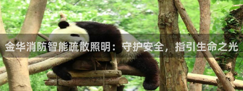 云顶集团公司简介图片