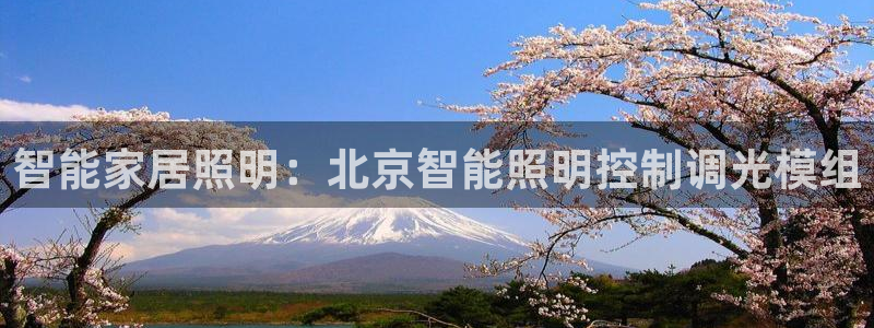 云顶最新调整