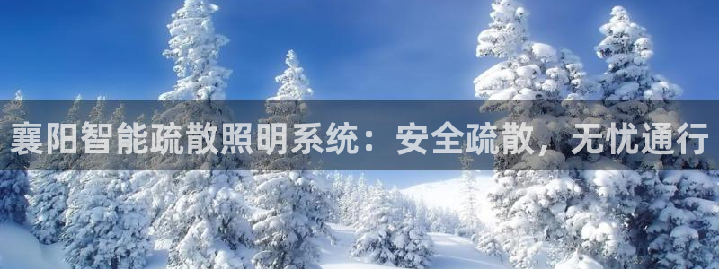云顶集团有限公司简介