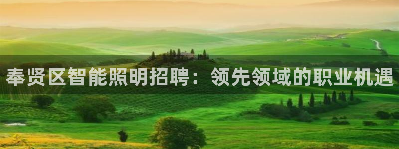 云顶国际装饰设计