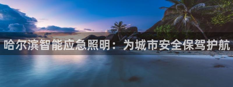 云顶控股集团有限公司