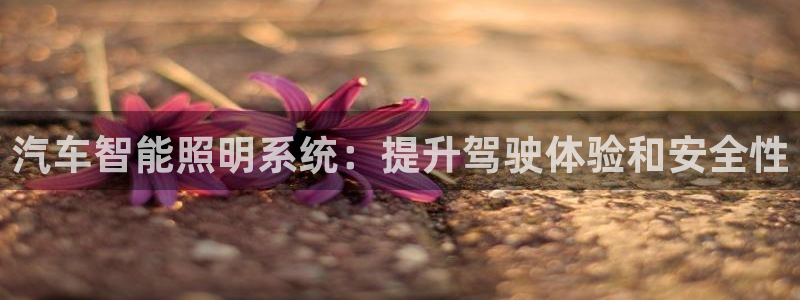 云顶国际在哪