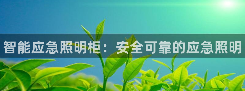 云顶国际二手房