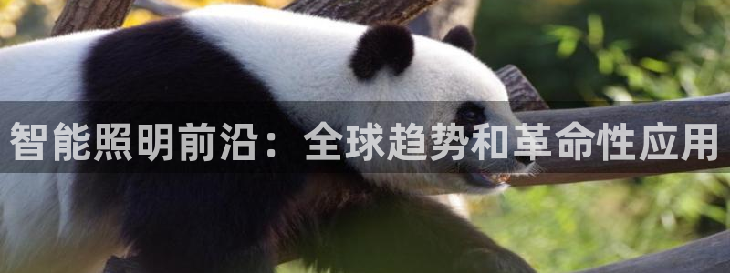 太原云顶国际酒店郝睿