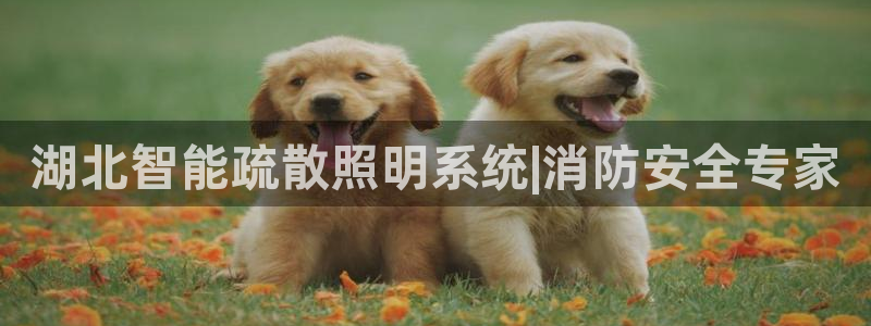 云顶国际商业广场a座101室