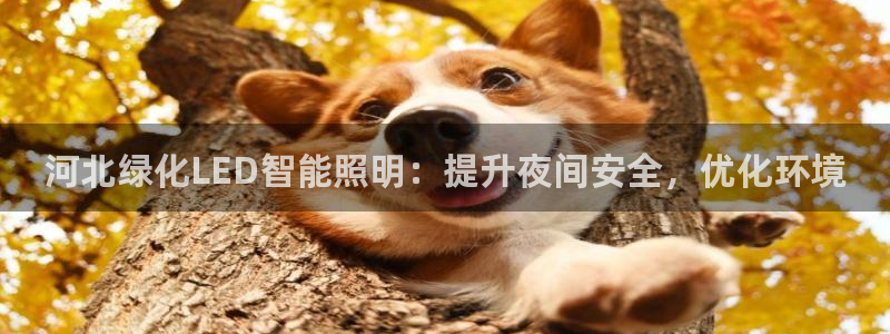 云顶电竞下载