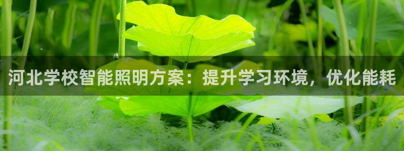 云顶集团网投领跑者