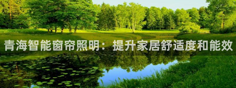 yd2333云顶电子